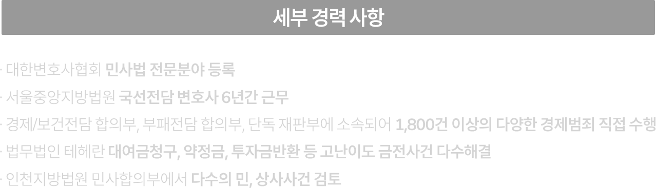 세부 경력사항